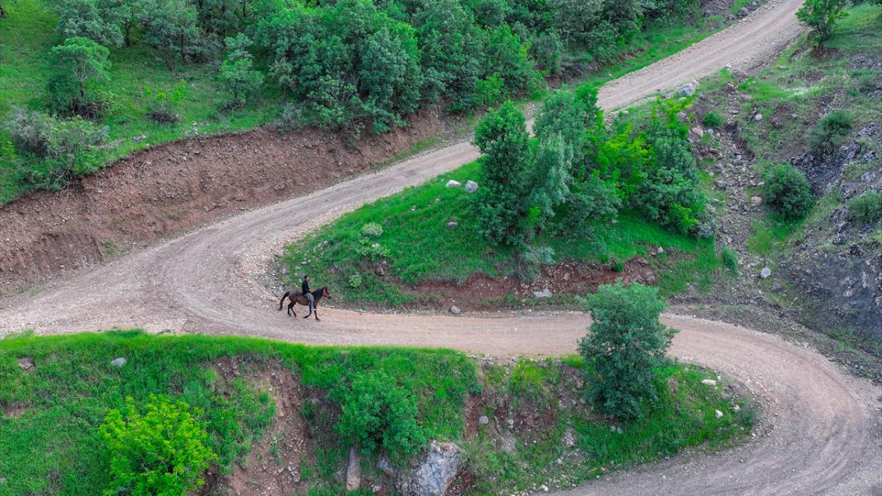 "Hem geleneksel hem de modern tıpta kullanılıyor"