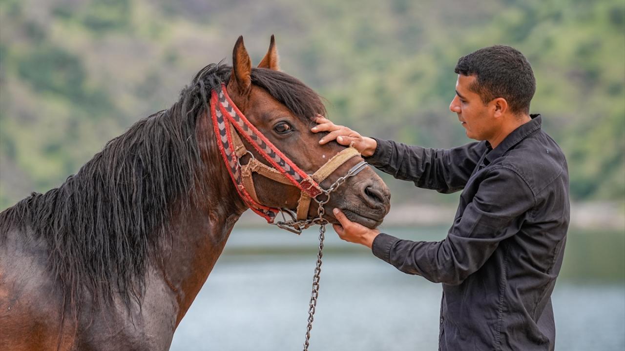 "Atlarımıza spor yaptırıyoruz"