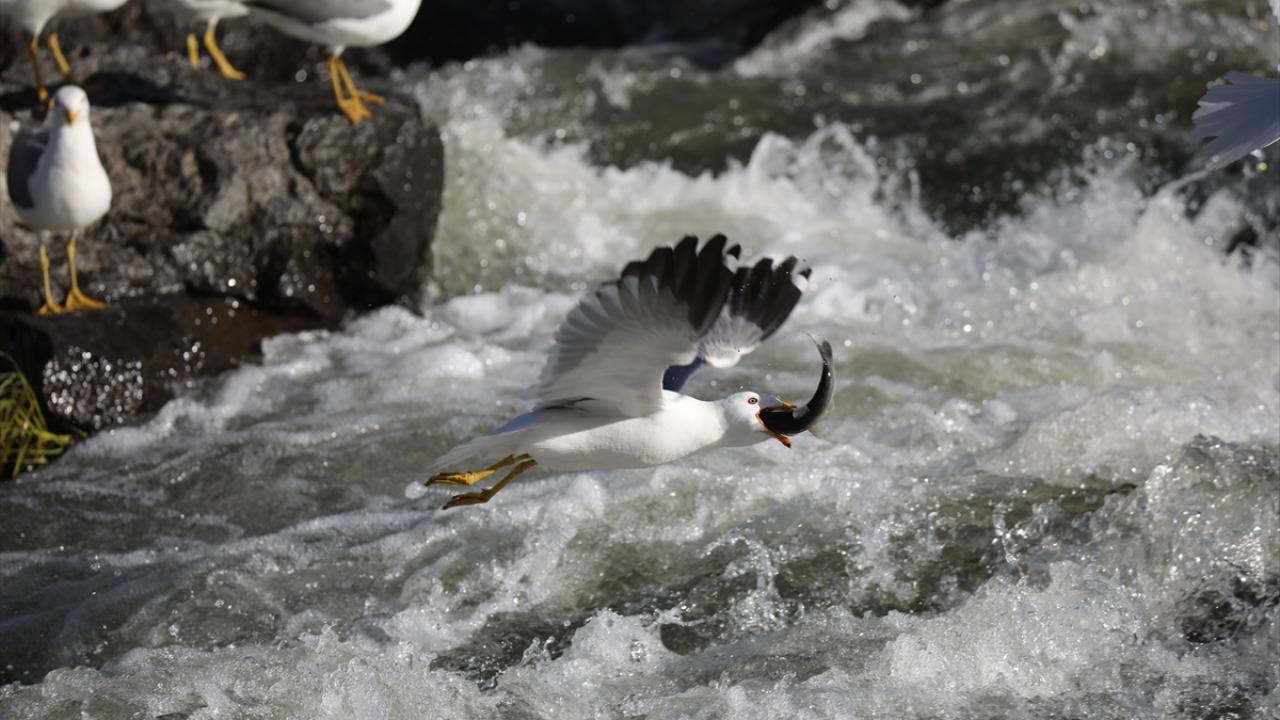 "Bu güzel olayı ölümsüzleştirmeye çalışıyoruz"