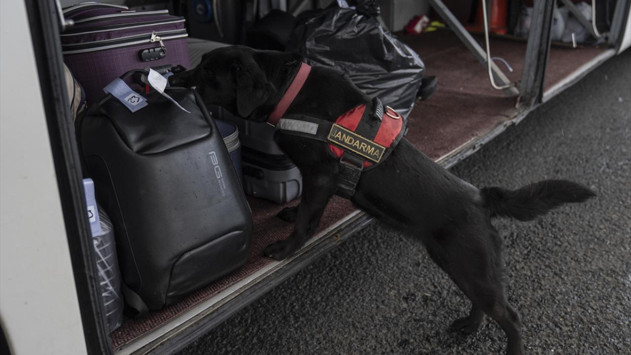 Dinlenme tesisleri jandarma güvencesinde