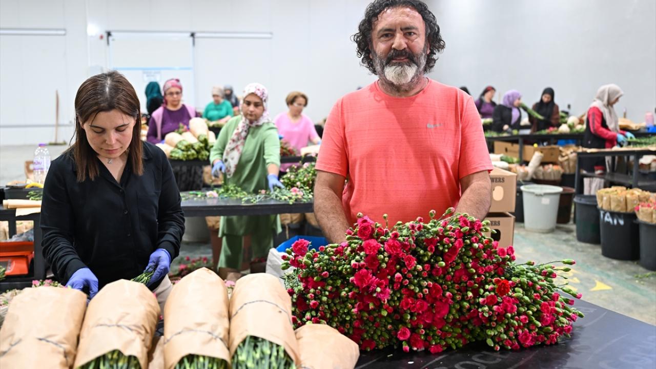 "Ziyaretin üzerinden 3-4 gün sonra sipariş alan firmalarımız oldu"