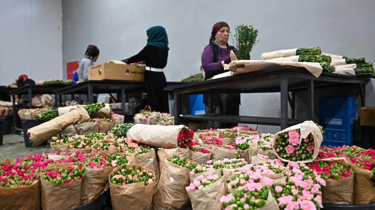 Bir sonraki ziyaret Körfez ülkelerine
