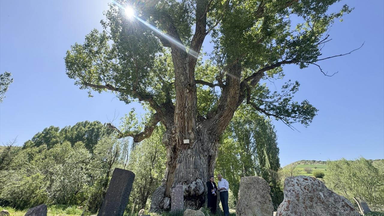 Türk boylarının mezarları zamana direniyor