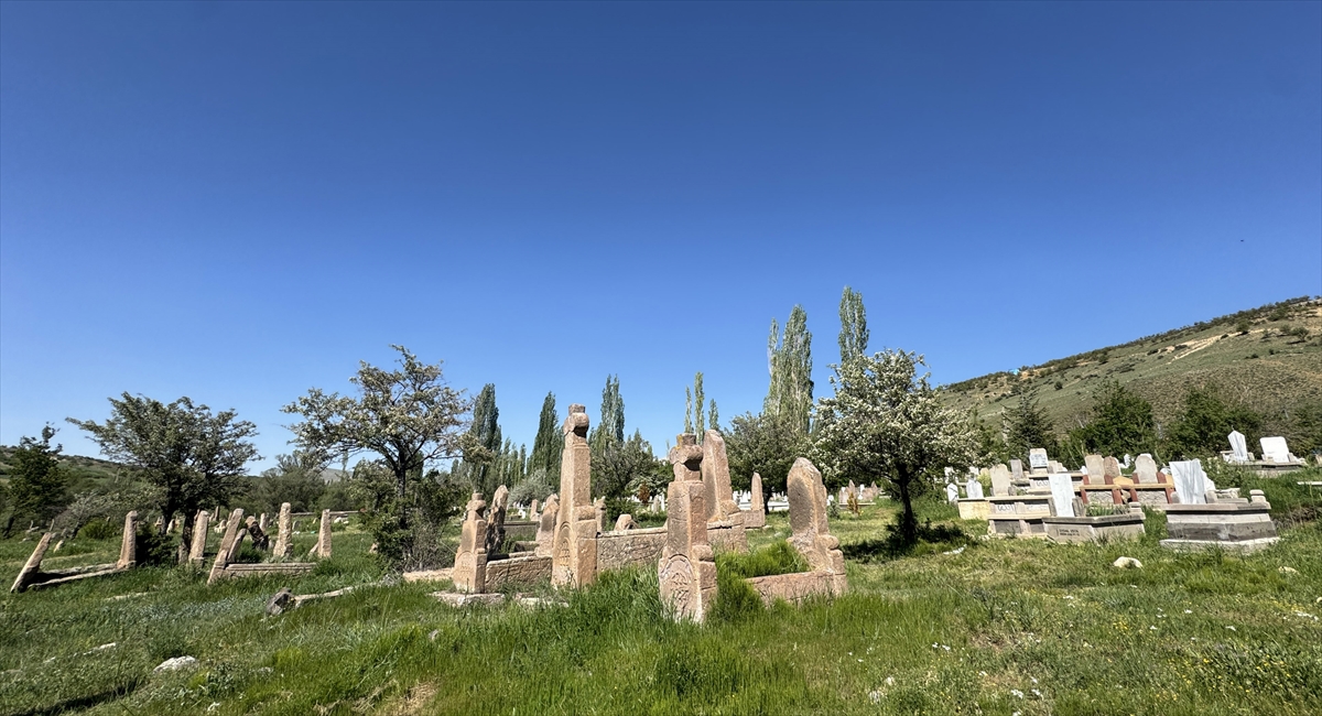 "DÜNYADA BİLE BÖYLE ÖRNEK YOK"