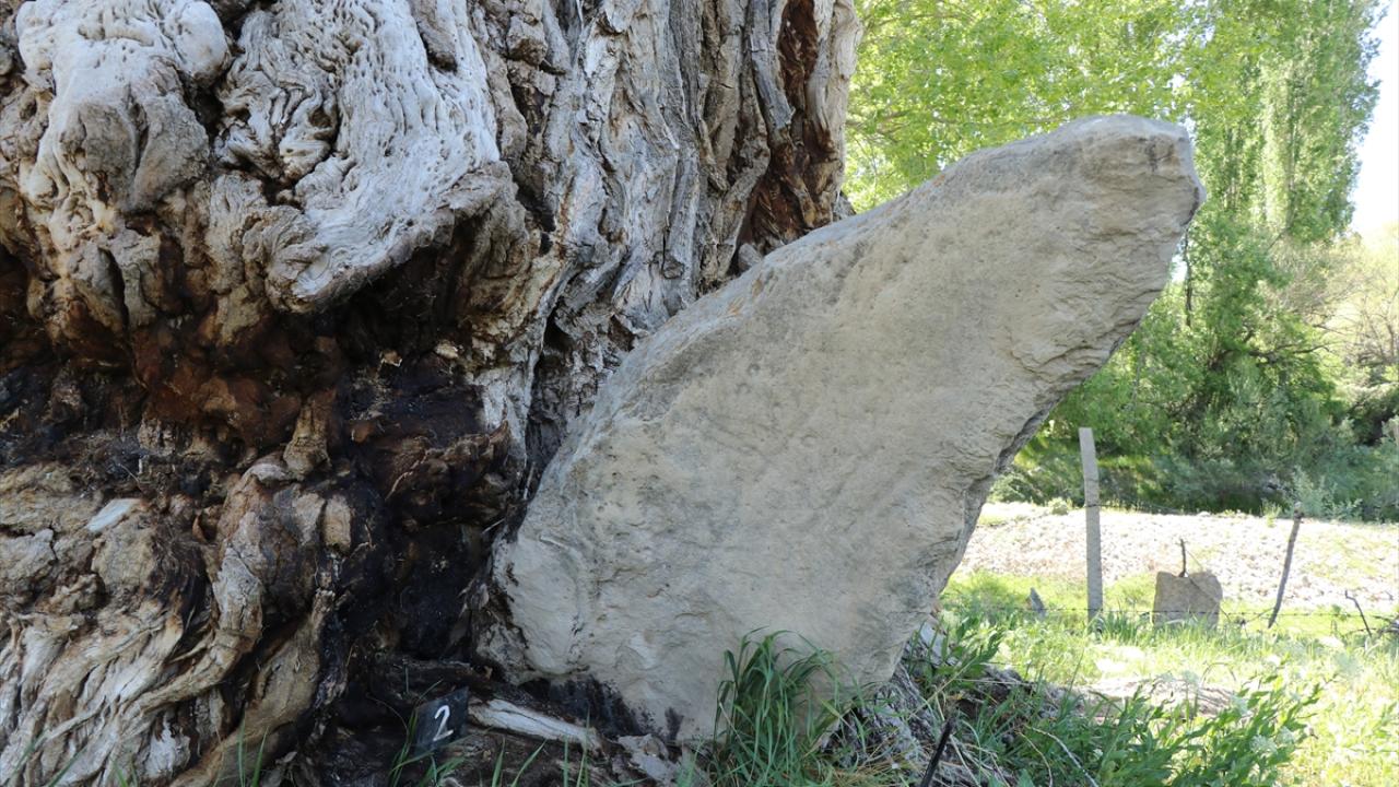 "AHLAT`TAN SONRA ANADOLU`DA ÖNEMLİ BİR MEZARLIK ALANI DA BURASI"
