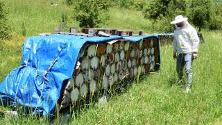 Bitlis balı, Paris'teki yarışmada ikinci kez "Altın Bal" ödülü aldı