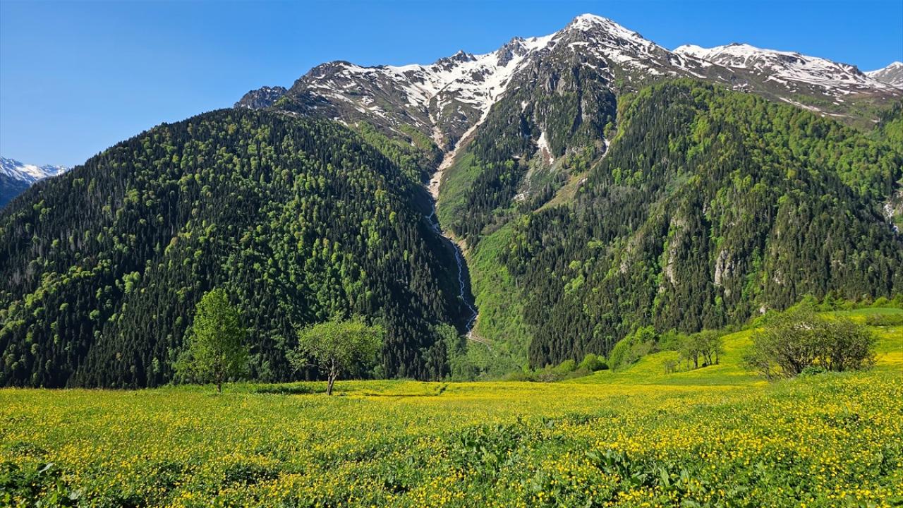 Kaçkarların doğa harikası yaylaları