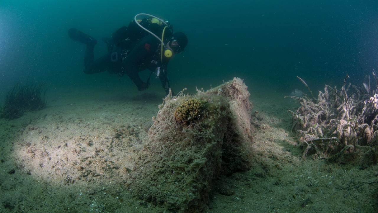 Çanakkale Boğazı'nda koruma altındaki sert mercanlar müsilaj tehdidi altında