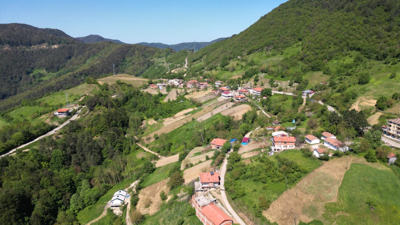 Küre Dağları Milli Parkı'nda bahar güzelliği