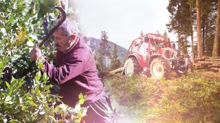 Orman köylüsüne 33,6 milyarlık destek