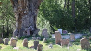 Türk boylarının mezarları zamana direniyor