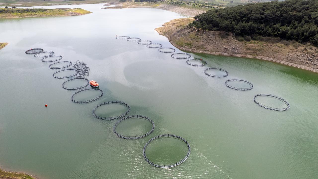 "Denize sınırımız olmasa da iç sularda önemli bir üretim yapıyoruz"