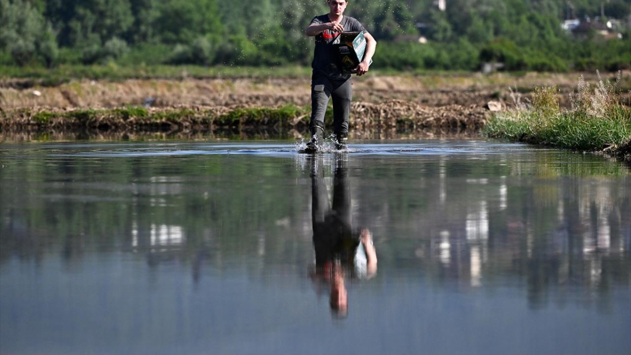 "Devletin teknoloji desteğiyle verim arttı, işimiz kolaylaştı"