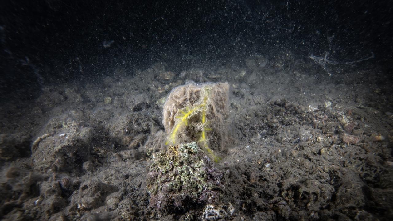 "Marmara Denizi`ni kirletiyoruz"