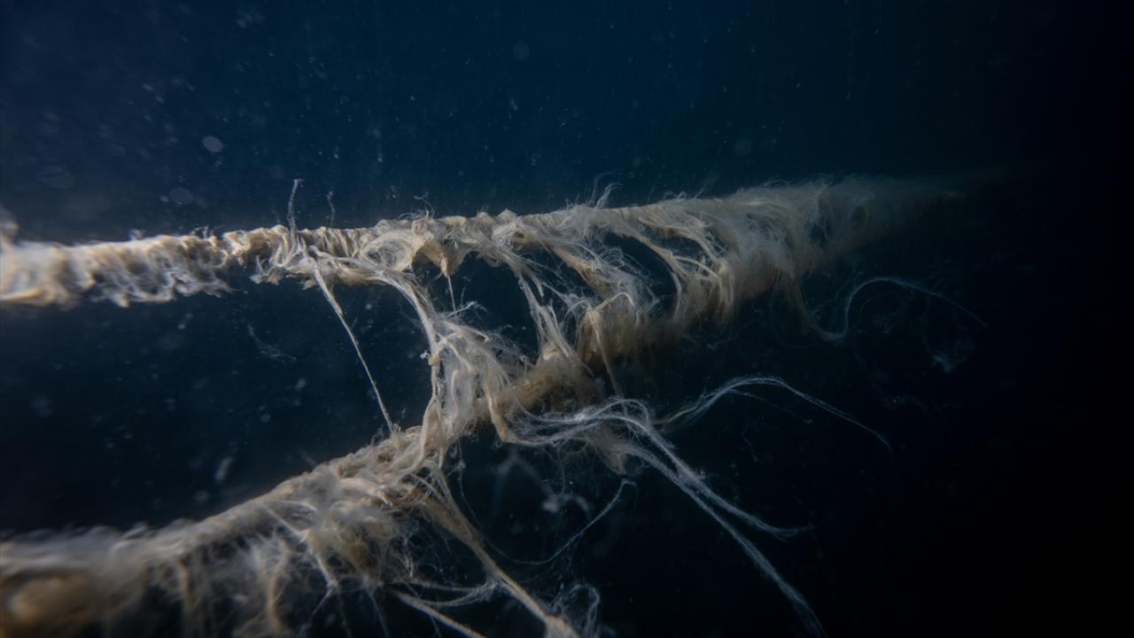 "Felaket boyutunda bir müsilajla karşı karşıyayız"