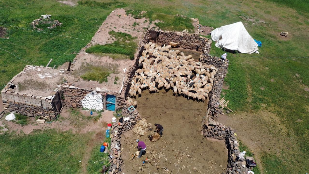 "Göçerler gece gündüz demeden hayvanlarıyla ilgileniyor"