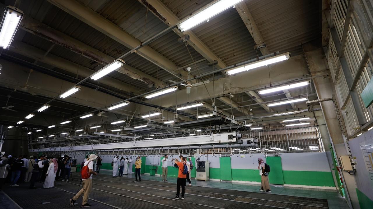 1 milyon 250 hayvan kurban edilecek