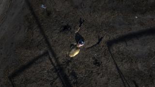 Şahika Ercümen müsilaja dikkati çekmek için Marmara'ya umut dalışı yaptı