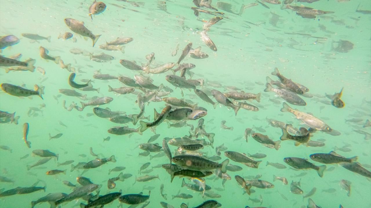 "Diyarbakır için büyük bir yatırım"