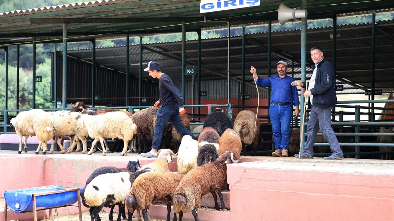 "Küpe ve belgeye mutlaka bakın"