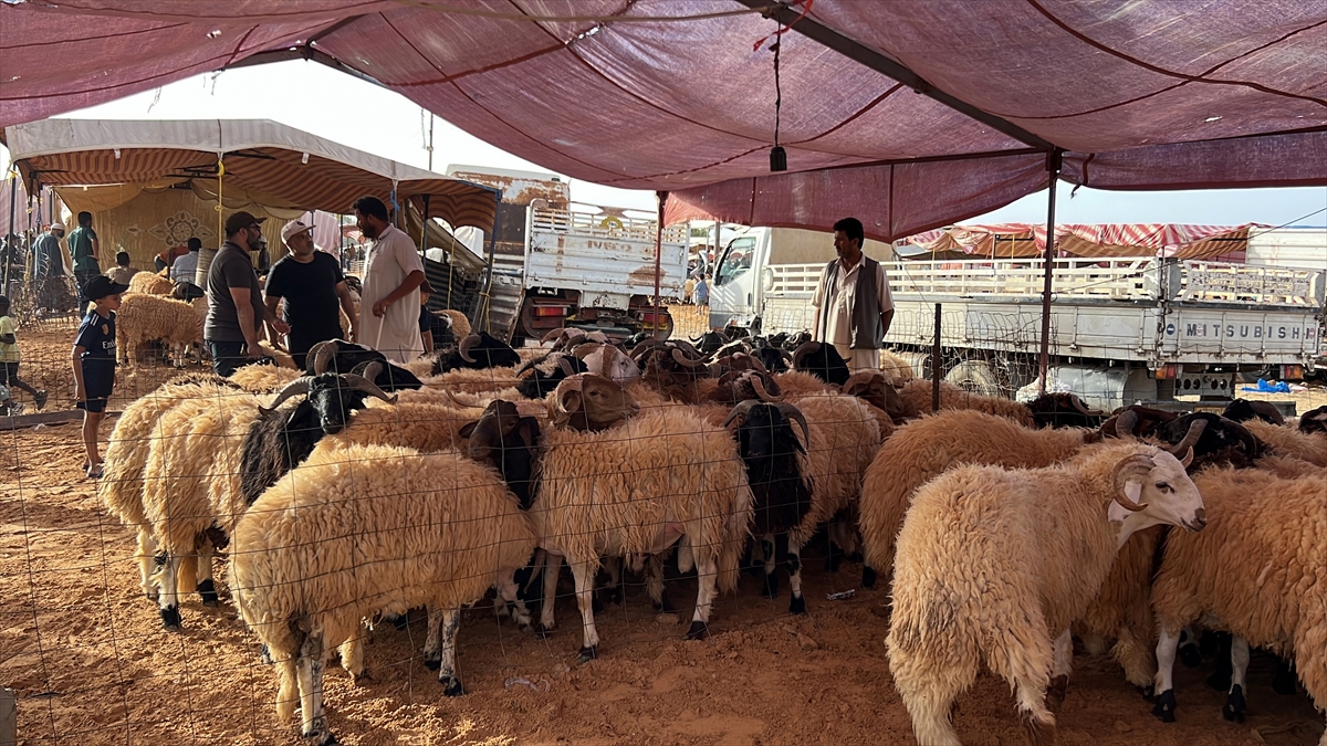 Trablus`taki olaylar