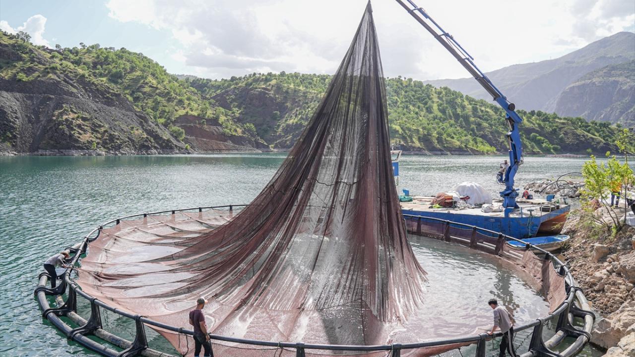 Diyarbakır'da 53 ülkeye ihraç için Türk somonu yetiştiriliyor