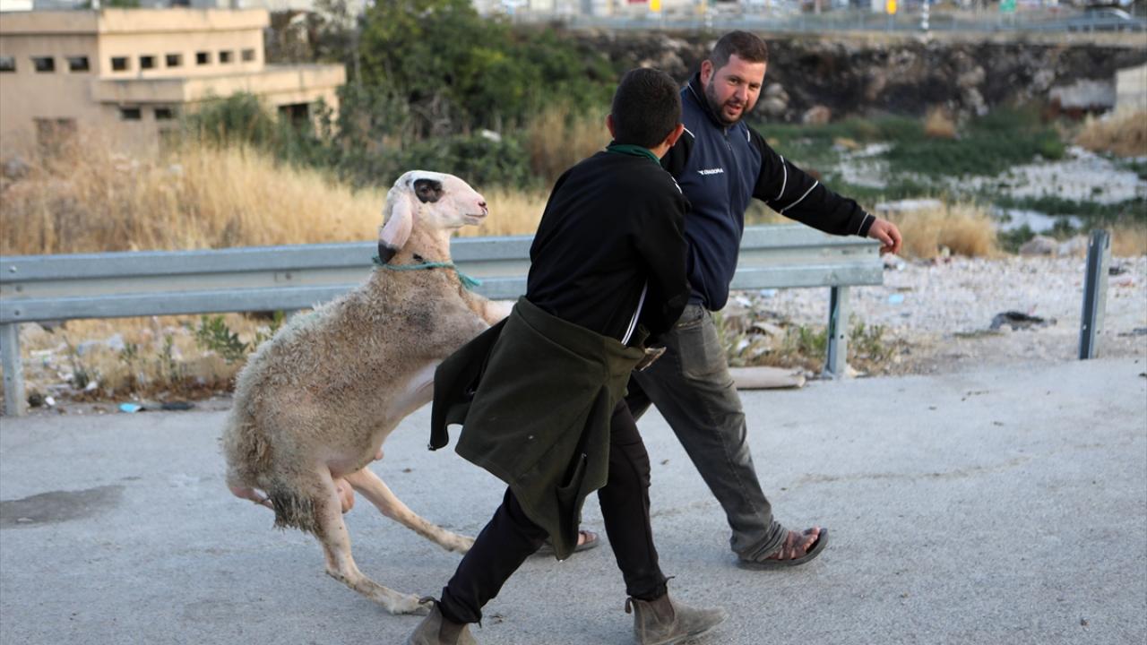 Batı Şeria'da Kurban Bayramı hazırlıkları