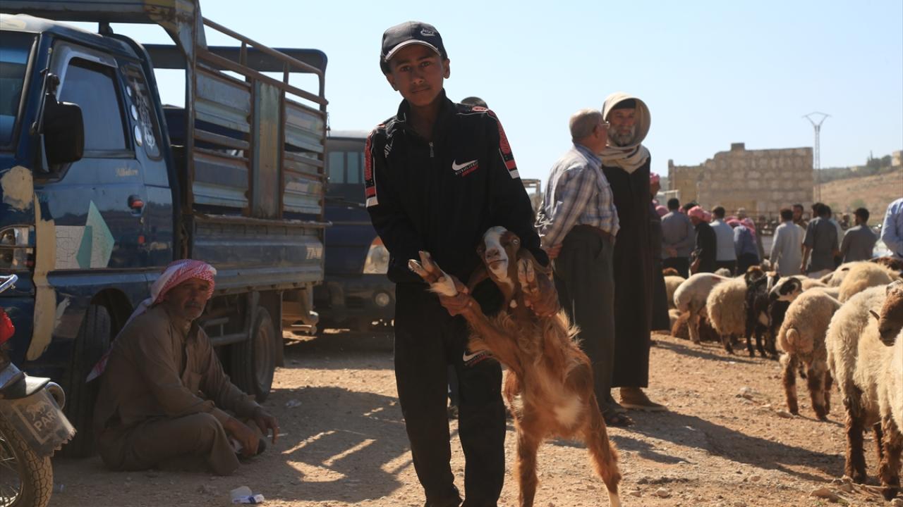 Suriye'de kamplardan köylerine dönen siviller Kurban Bayramı'na hazırlık yapıyor