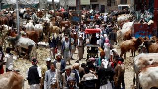 Yemen'de Kurban Bayramı hazırlıkları