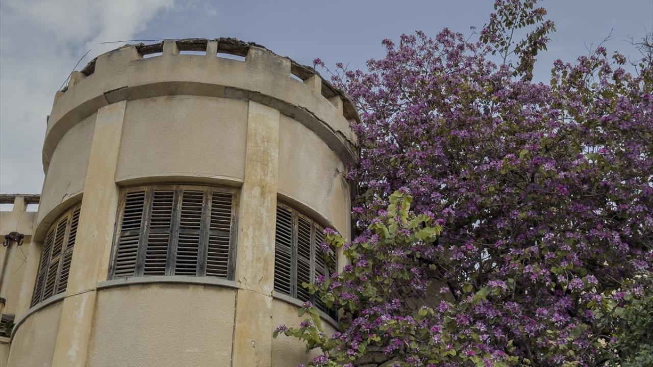 Kapalı Maraş'ın çiçekleri