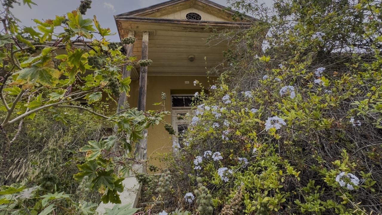 Kapalı Maraş'ın çiçekleri