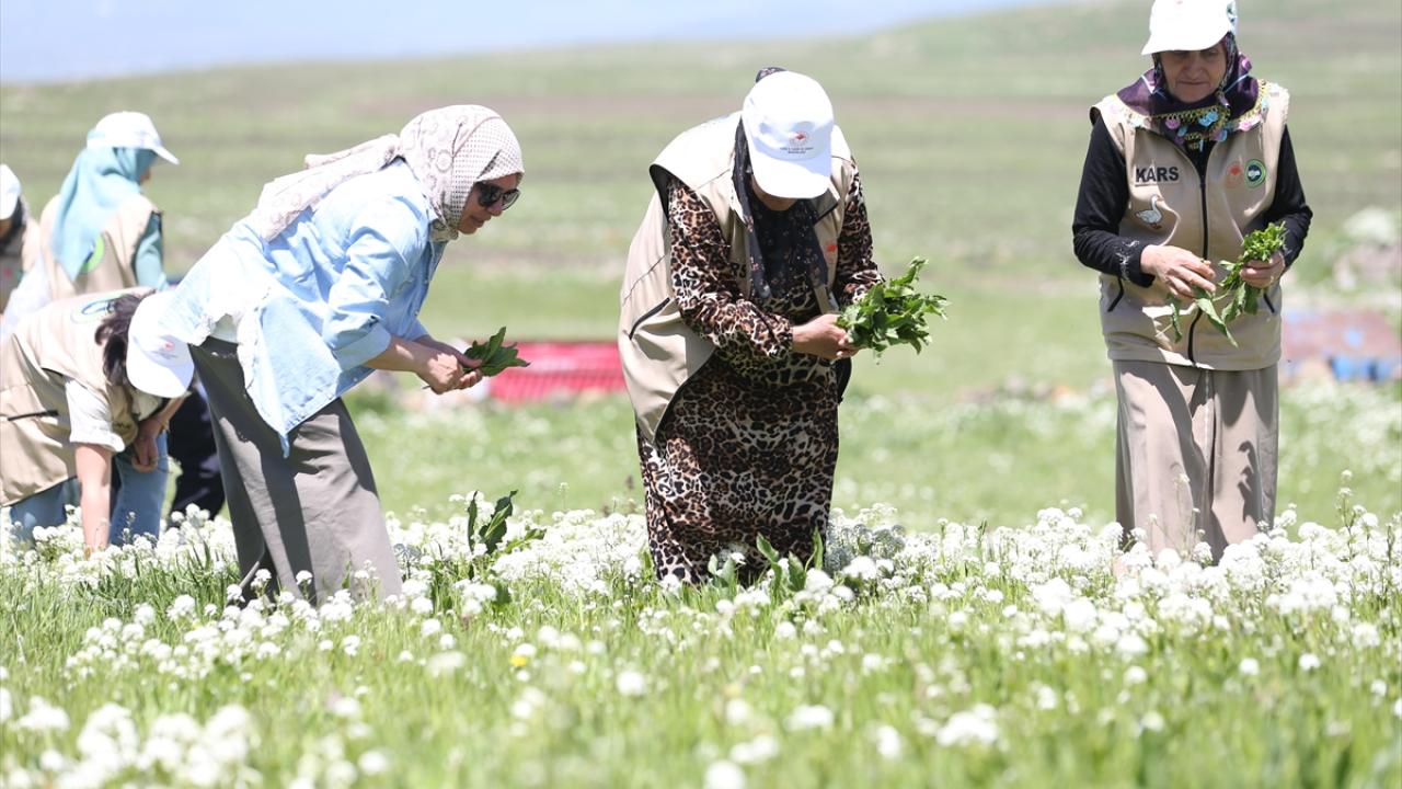 "Kışın da kaz üretip satıyoruz"