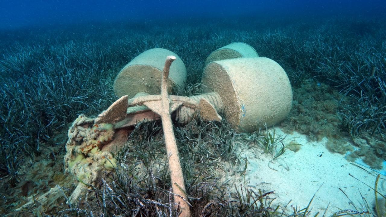 "Teknelerden atılan çapalar deniz çayırlarına zarar veriyor"