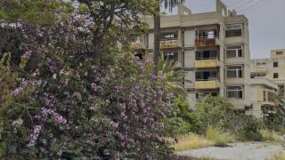 Kapalı Maraş'ın çiçekleri