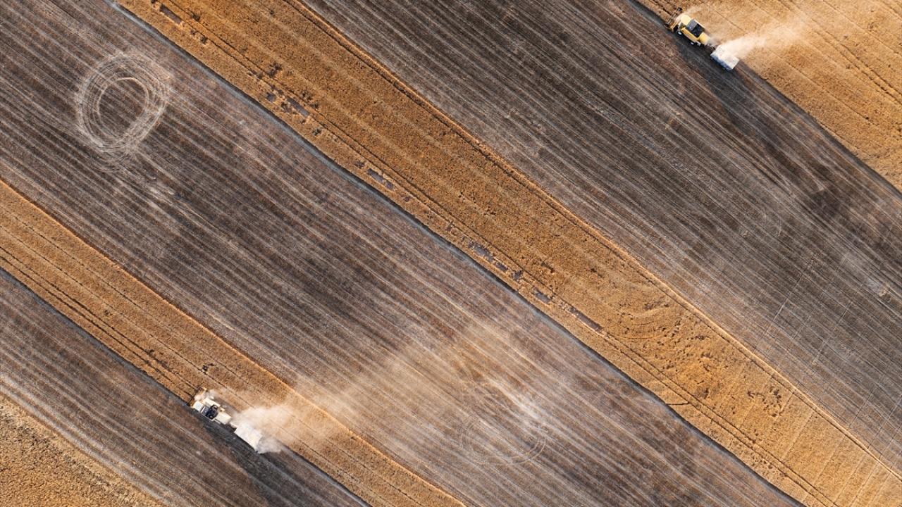 Keysun Ovası’nda hububat hasat sezonu başladı