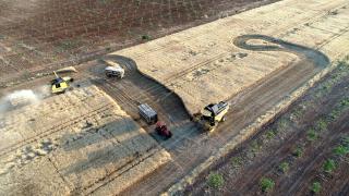 Mardin Ovası'nda biçerdöverlerin buğday hasadı gece de sürüyor