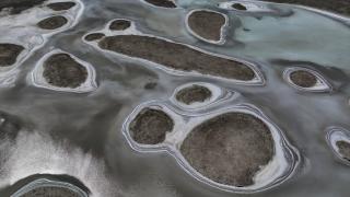 Dünya Çölleşme ve Kuraklıkla Mücadele Günü