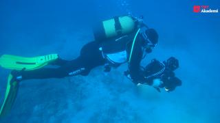 Su altı dünyasını TRT belgeselciliği ile keşfedin