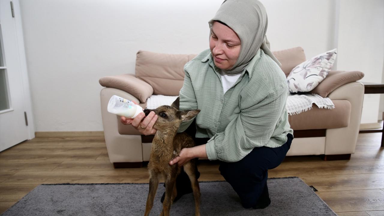 "Dışarıdan kimseyle temas ettirmiyorum"