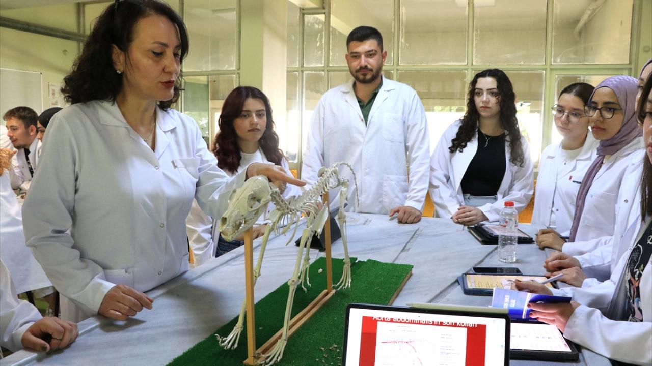 "Hekim olduklarında bu çalışma çok büyük fayda sağlayacak"