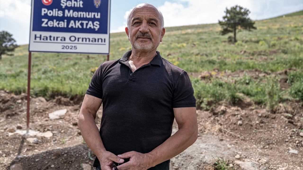 Bu fidanların dikildiği gün burası bayram yeri gibiydi"