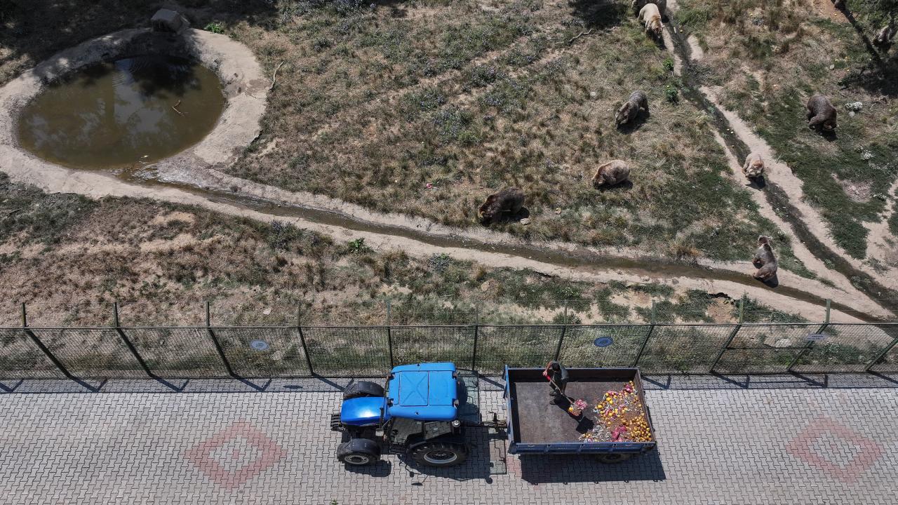  "Bu yemekler, her ayının 20 bin kalori gıda almasına karşılık gelmektedir"