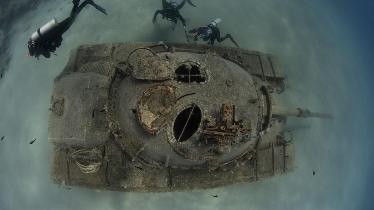 "Dalış turizmi tüm dünyada yükselen bir değer"