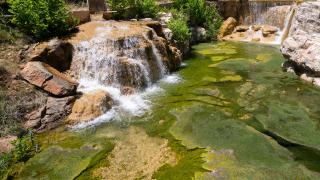 Yeşilin tüm tonlarını barındıran "Acıpayam Kanyonu"