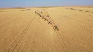Türkiye'nin "dev işletmesi"nde buğday hasadı 184 biçerdöverle yapılıyor