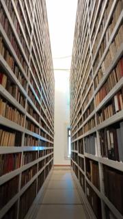 Saklı bahçenin gizli hazinesi erişime açıldı