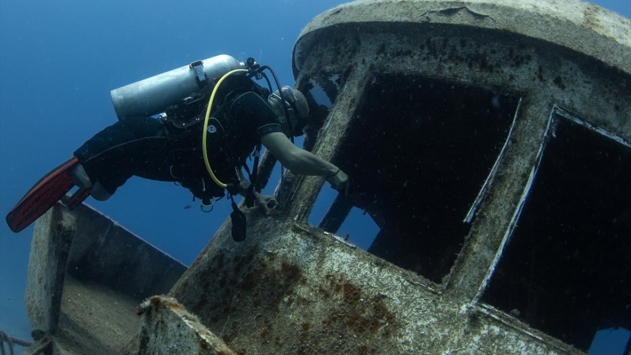 "Hayata tutunma yolculuğumda en büyük kılavuzum doğa oldu"