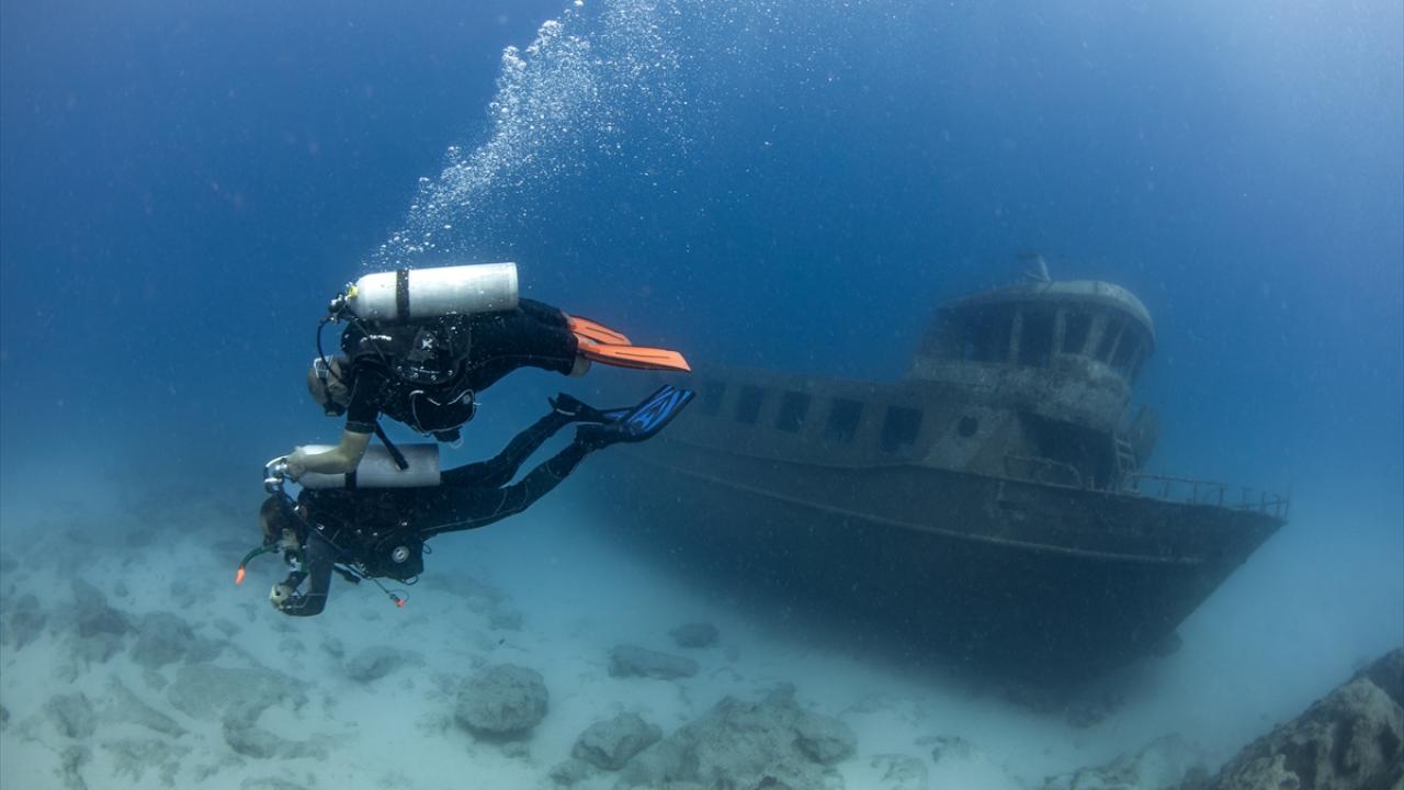 Koçak, AA foto muhabiri Alakuş ile dalış yaptı