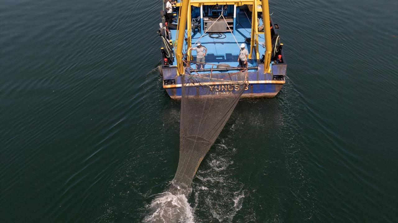 "İstanbul çevresinde müsilaj gözlemlenmemekte"