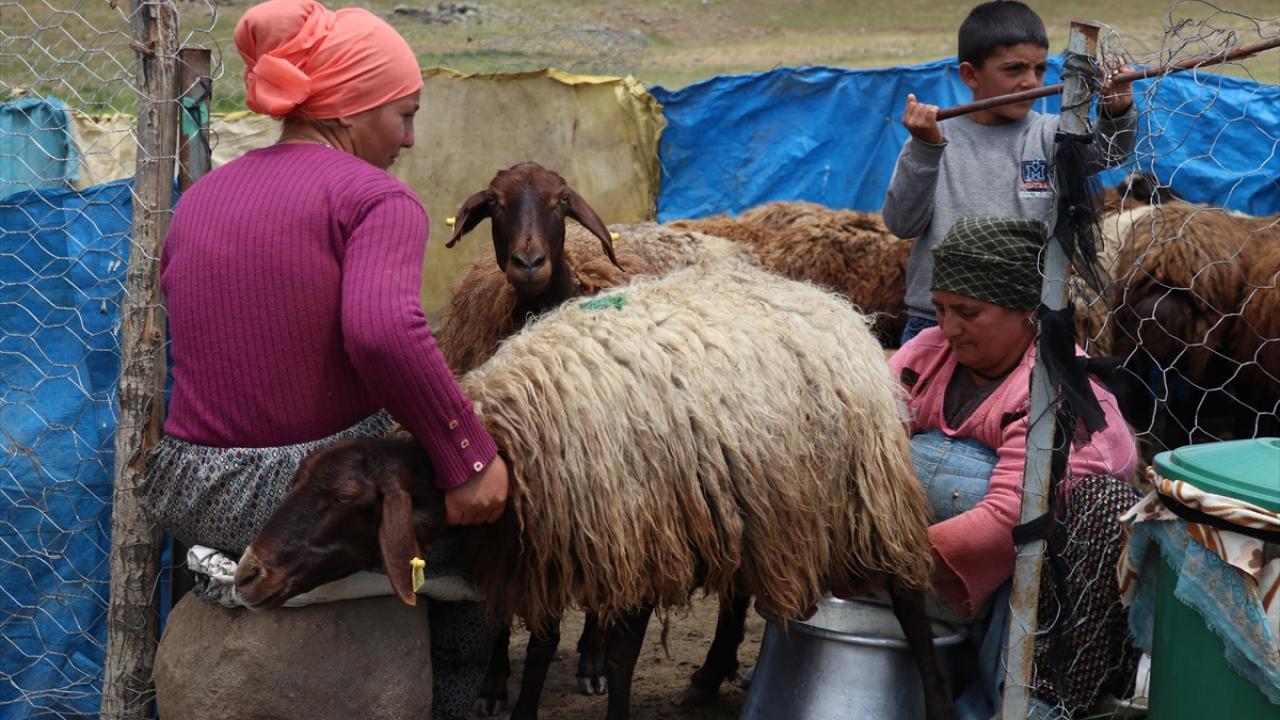 "Su ihtiyacını karşılamak için projeler yapıyoruz"